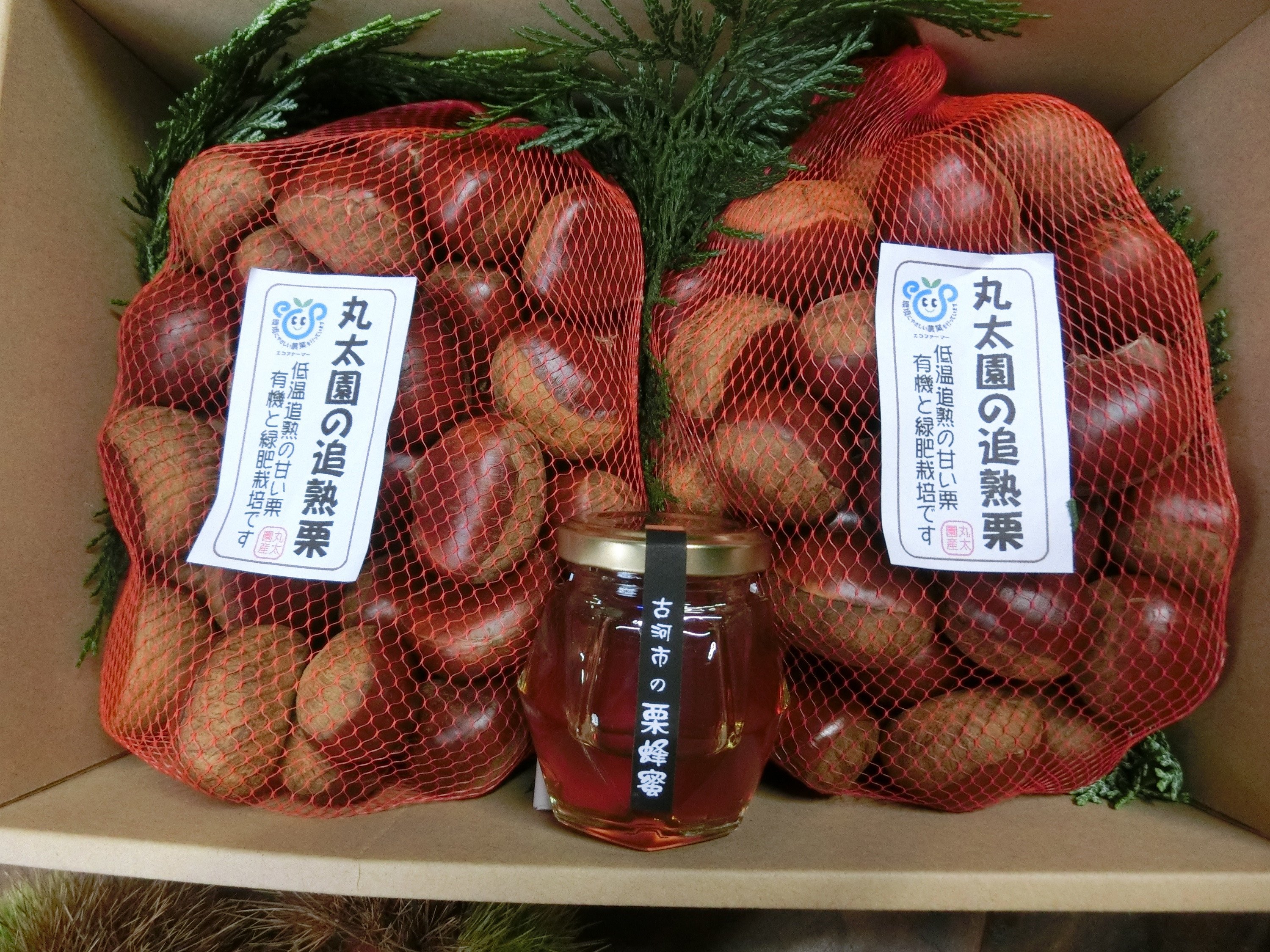 
            【数量・期間限定】低温追熟和栗1.8Kgと自園の栗蜂蜜セット ※離島への配送不可  ※2025年10月中旬頃より順次発送予定 | はちみつ 栗 詰合せ 栗 1.8キロ くり マロン 果物 木の実 きのみ おやつ スイーツ ハチミツ 蜂蜜 国産 茨城県産 純粋 ミツバチ 蜜蜂 みつばち セット 詰め合わせ お取り寄せ 贈答 贈り物 プレゼント ギフト 期間限定 数量限定 _BF13
          