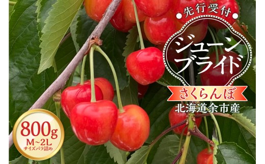 
                  【2027年産 先行予約】＜北海道余市産＞さくらんぼ「ジューンブライド」（M～2Lサイズバラ詰め）400g×2パック
                