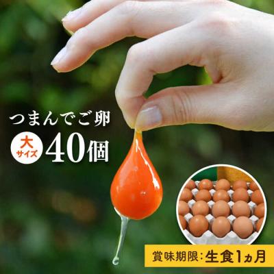 ふるさと納税 糸島市 【プリップリな卵黄!】つまんでご卵 40個セット 鶏卵 たまご 糸島/緑の農園 [AGA011]