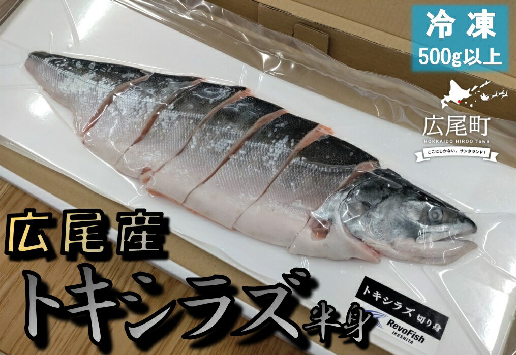 【ふるさと納税】トキシラズ　切り身　500g以上　冷凍生【時知らず　ときしらず　鮭　サケ　さけ　海産物　海鮮　北海道産　国産　贈答　簡単　便利　お手軽】（AM0009)