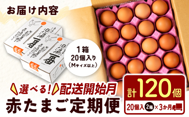 ＜配送開始月が選べる!!＞児湯養鶏自慢の卵 ネッカリッチ赤たまご「児湯一番」 計120個 （20個入×2箱）×3か月定期便 生活応援 ※2026年7月配送開始【C55-2607】 2026年7月配送開