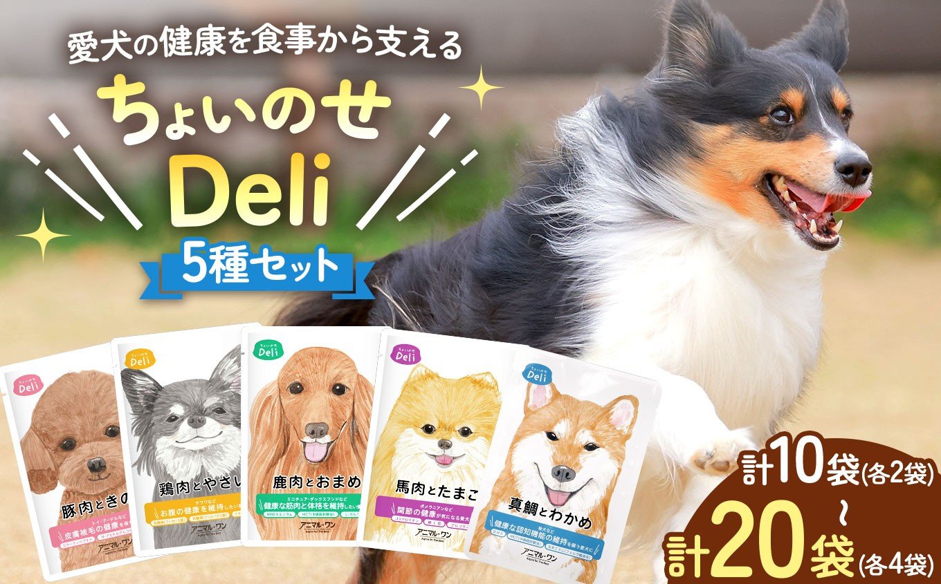
                  選べるセット内容！ちょいのせDeli 5種 × 各2～4袋 セット | ペット 愛犬 犬 ウェットフード 国産 ドッグフード 熊本県 玉名市
                