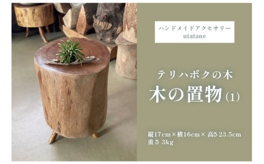 
            DM015『テリハボクの木の置物』（1）
          