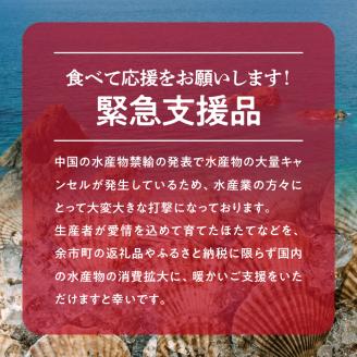 【緊急支援品】北海道産 ほたて貝柱 500g 4Sサイズ 【北海道余市町】 海鮮 魚介 ホタテ ほたて 帆立 冷凍ホタテ お刺身ホタテ おつまみホタテ 濃厚ホタテ 肉厚ホタテ 人気ホタテ おすすめホタ