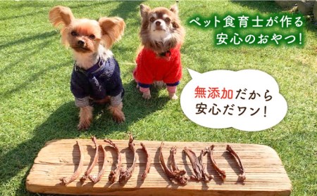 6回定期便　超小型犬向け☆天然いのししのスモーク骨ガム100g わんこin食堂/吉野ヶ里町[FCG063]