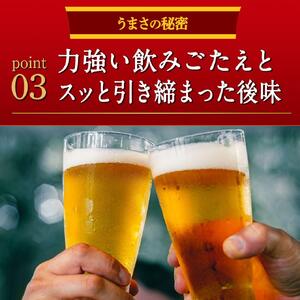 キリンビール キリン本麒麟 500ml 1ケース（24本入）｜ ビール 横浜工場製 人気 おすすめ AFA0004