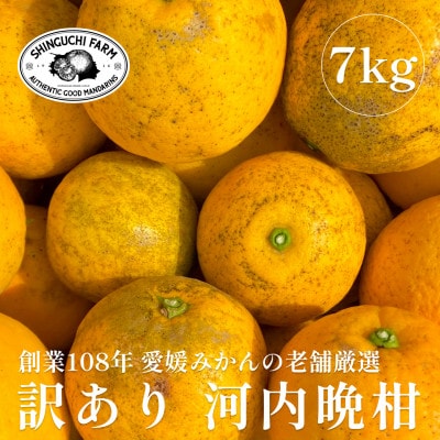 創業百八年 愛媛みかんの老舗【河内晩柑 訳あり 7kg】新口農園【C70−45】【1537315】