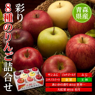 【ふるさと納税】りんご/青森県産　彩り8種のりんご詰合せ【配送不可地域：離島】【1655324】
