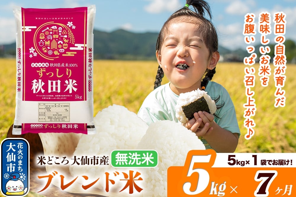 
            新米 米 令和7年産《定期便7ヶ月》米どころ 秋田県大仙市産 ブレンド米【無洗米】5kg（5kg×1袋）
          