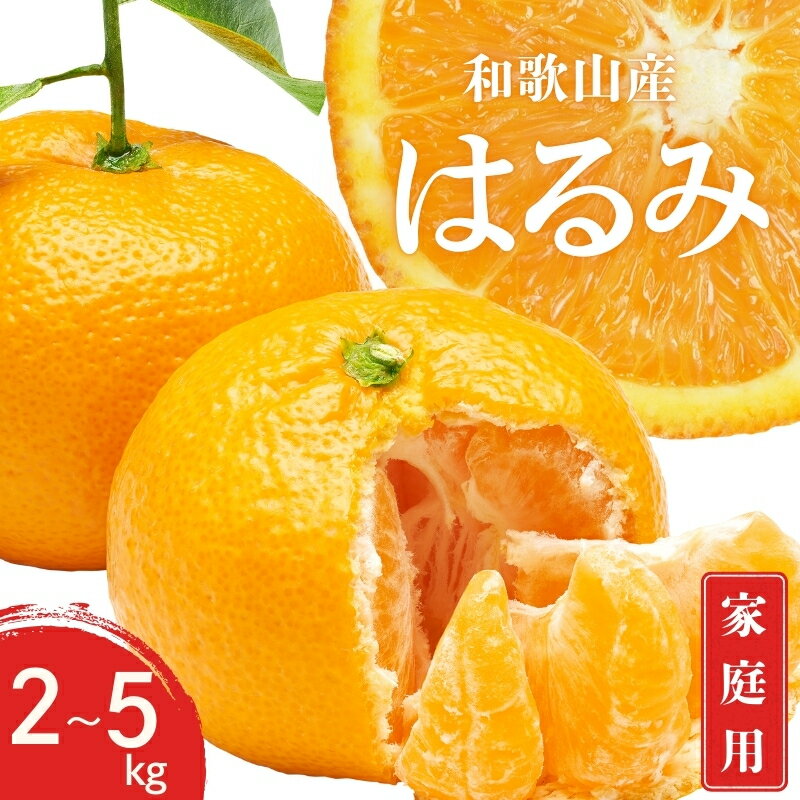 【ふるさと納税】 【先行予約】 ご家庭用 はるみ 和歌山 有田 S〜3Lサイズ 2kg・3kg・5kg【1月下旬〜3月下旬までに順次発送予定】/ みかん フルーツ 果物 くだもの 蜜柑 柑橘
