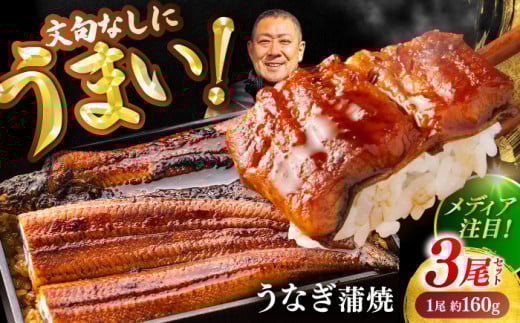 高知県産 うなぎ 長蒲焼3尾 約160g×3 (3〜6人前)/ 鰻 ウナギ 土用丑の日 高知産 うなぎ 【土佐黒潮水産】 [ATCQ010]