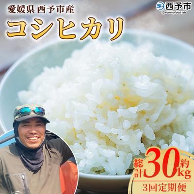 ふるさと納税 西予市 【先行受付】新米<令和8年産 愛媛県西予市産 コシヒカリ 10kg  3回 定期便>もとき農園