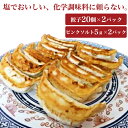 【ふるさと納税】自家製豚骨スープ入り　塩で食べる無添加ぎょうざ20個入×2PC