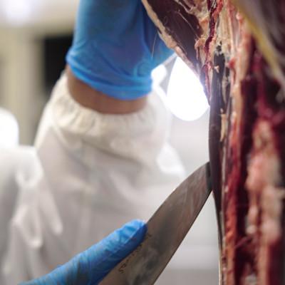 ふるさと納税 遠野市 鹿スジ肉 合計1.2kg 200g×6パック ジビエ 遠野市産 冷凍 遠野ジビエの里 |  | 02