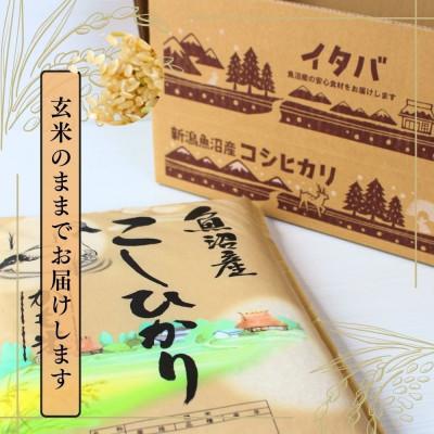 ふるさと納税 十日町市 【令和7年産】魚沼産コシヒカリかも米(玄米)5kg |  | 02