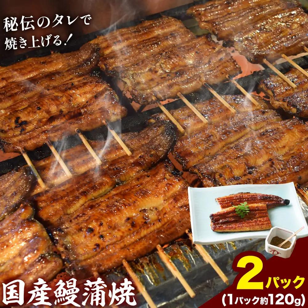 鰻 国産鰻蒲焼 2パック 約 120g ×2 有限会社安井家