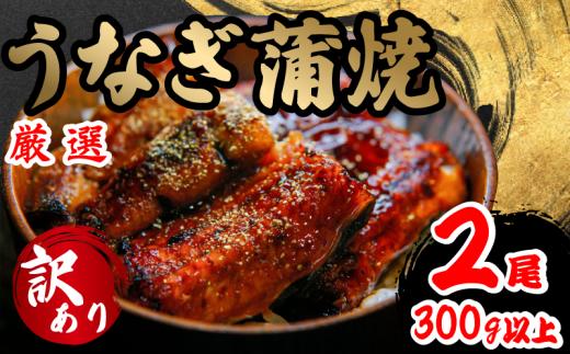 訳あり うなぎ 蒲焼き 2尾 150g以上 × 2本入 計300g 以上 ( 鰻 さんしょう たれ セット 本格 うなぎ 2匹 冷蔵 鰻 蒲焼 うな丼 うな重 ひつまぶし 人気 惣菜 海鮮 贈答用 プ