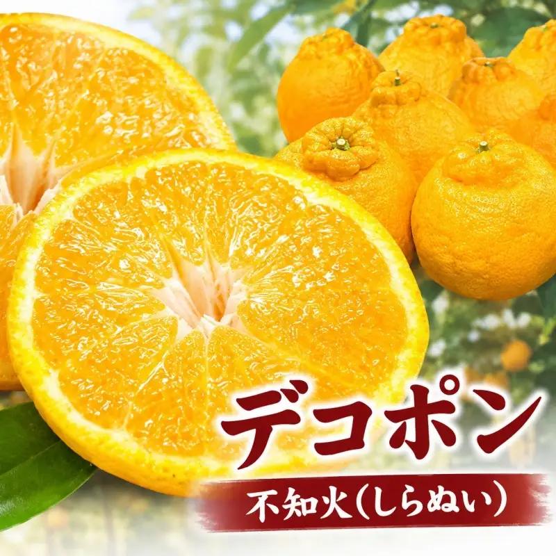 田村産「デコ」不知火[約2.8kg]湯浅町田村産春みかん(果実サイズおまかせ)/紀伊国屋文左衛門本舗　※2027年2月中旬～3月下旬頃に順次発送予定(お届け日指定不可)【kstb493B】