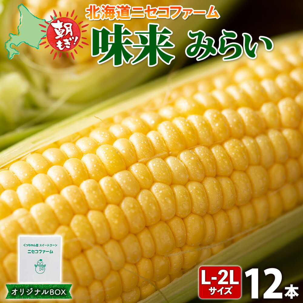 【ふるさと納税】【 2026年 先行予約 】 北海道産 とうもろこし 味来 計12本 L-2L サイズ混合 大きめ みらい 旬 朝採り 新鮮 トウモロコシ 甘い 夏野菜 とうきび お取り寄せ 産地直送 野菜 しりべしや 送料無料　お届け：2026年7月上旬～7月下旬まで