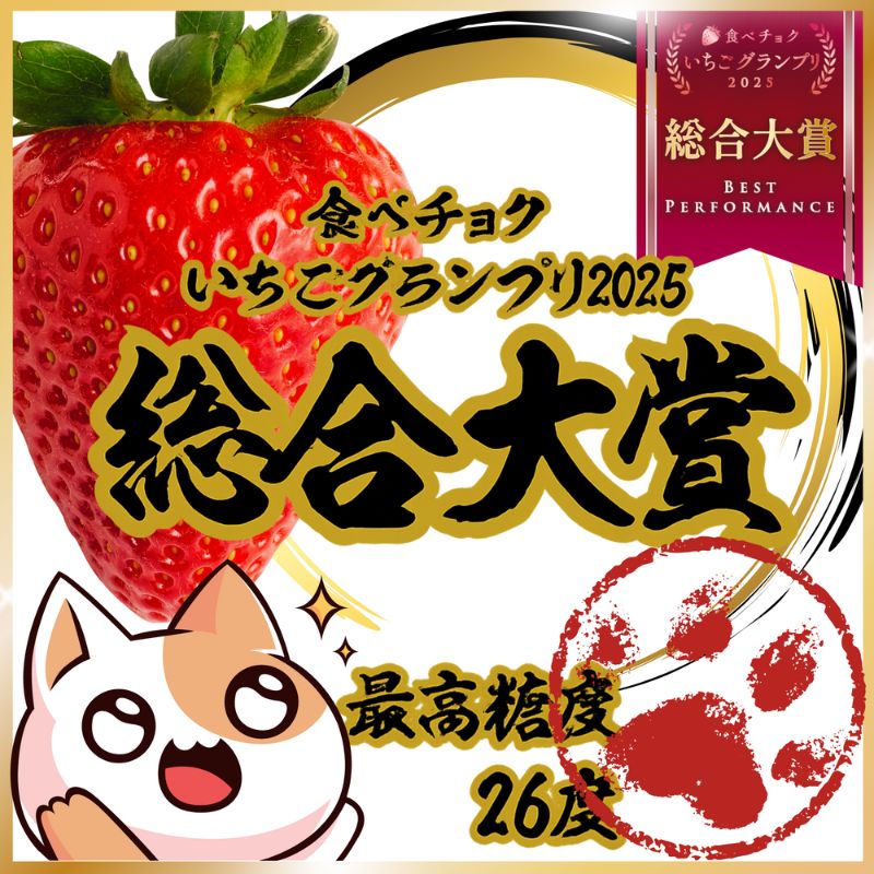 【ふるさと納税】【予約受付】大粒いちご 12粒入りセット 2026年1月以降順次発送予定[ いちご イチゴ 苺 フルーツ 果物 新鮮 糖度 ] 果物類 　お届け：2026年1月上旬～2026年3月末