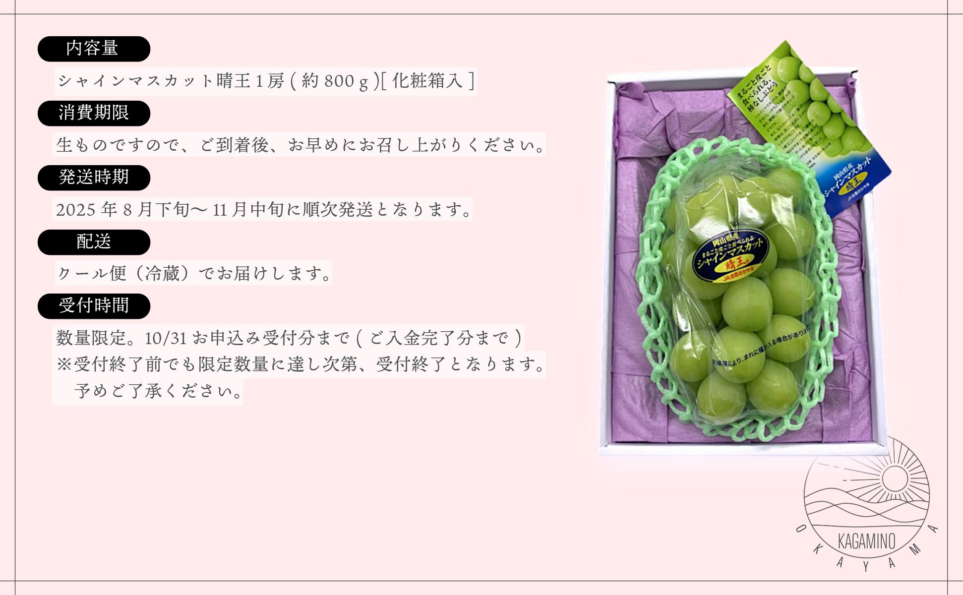シャインマスカット晴王1房（約800ｇ）化粧箱入