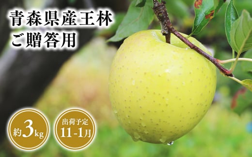 2025年産 １１月～１月発送　贈答用王林3kg【青森県 平川市 そと川りんご園】１１月～１月発送 贈答 青森 青森県産 平川 りんご リンゴ 林檎 くだもの 果物 フルーツ 