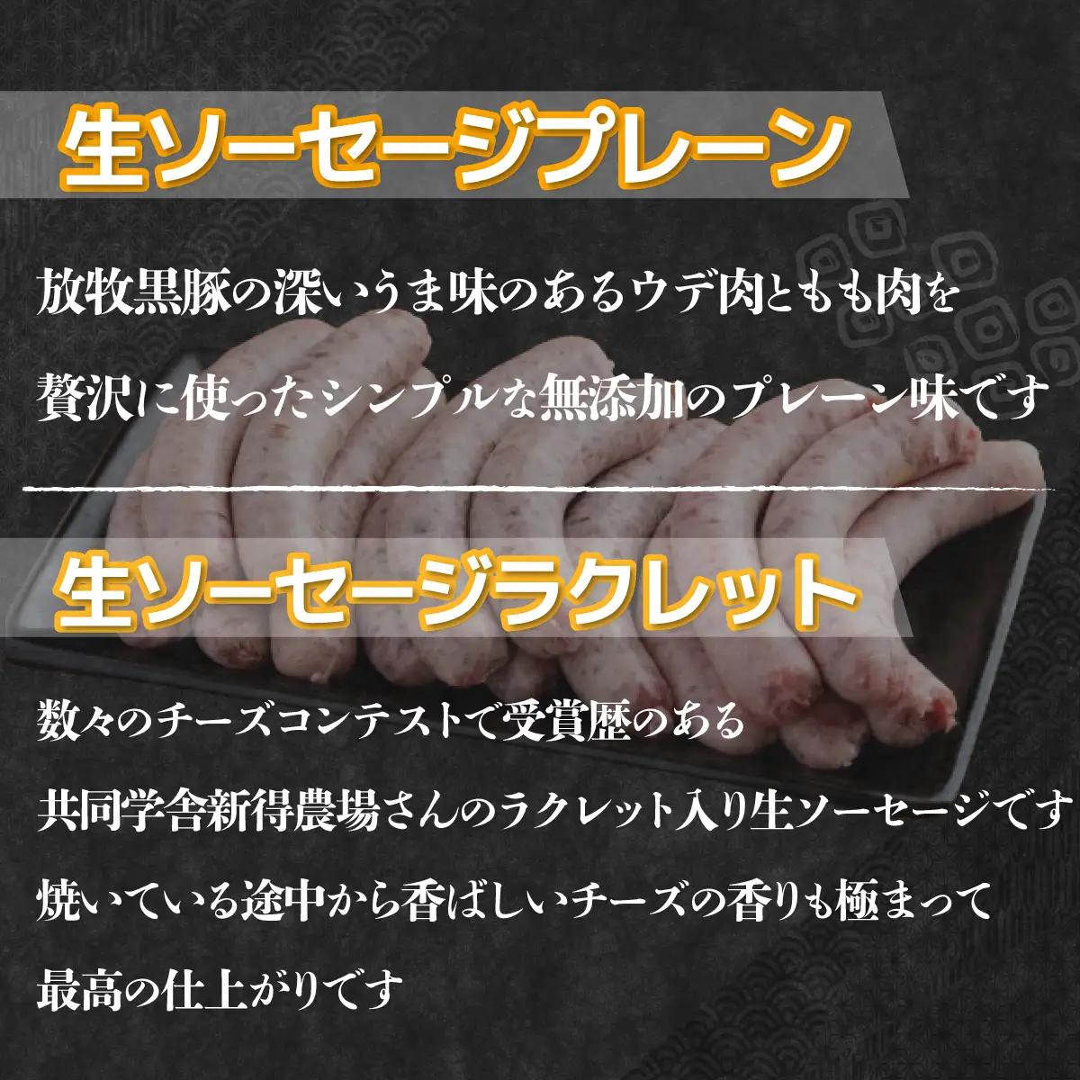 【定期12ヶ月】鹿追産 自然放牧黒豚無添加生ソーセージセット SKN043