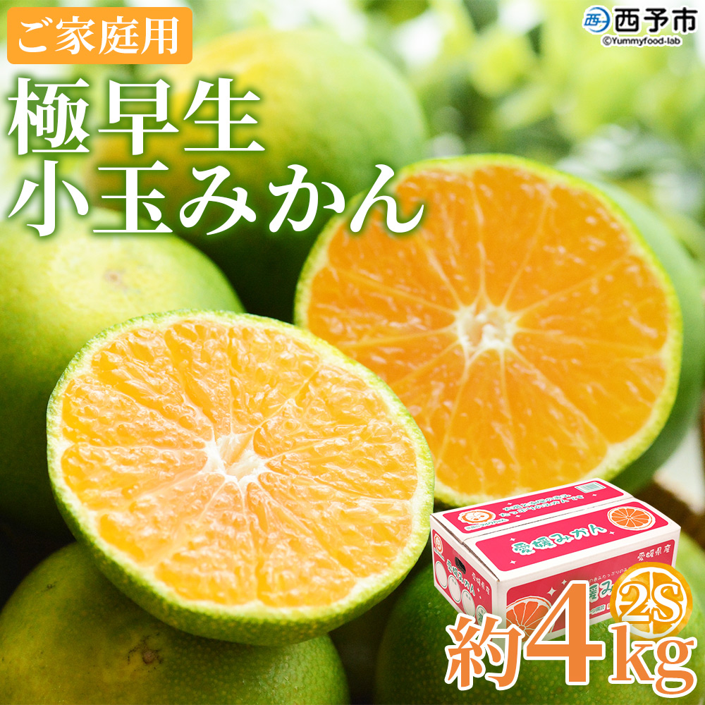 【先行予約】＜極早生小玉みかん ご家庭用 約4kg＞ ご家庭用 果物 フルーツ みかん ミカン 蜜柑 4キロ オレンジ 柑橘 食べて応援 特産品 宇都宮物産 愛媛県 西予市 【常温】『2026年9月下旬～10月中旬迄に順次出荷予定』