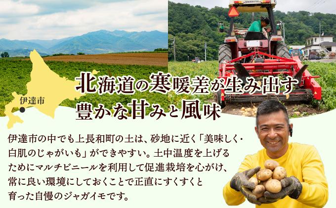 やまけんや じゃがいも インカのめざめ 3kg S～2Lサイズ サイズ混合 馬鈴薯 芋 いも イモ ポテト 甘い 旬 農作物 野菜 ほくほく ホクホク 国産 お取り寄せ 常温 送料無料 北海道 伊達市