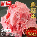 【ふるさと納税】【7営業日以内発送】 飛騨牛 切り落とし 560g A5 A4 国産 牛 冷凍 お試し 和牛 牛肉 切落し 切り落し 薄切り 訳あり 牛丼 すき焼き しゃぶしゃぶ 東白川村 岐阜 飛騨 贅沢 霜降り ロース バラ もも ウデ 肉のひぐち 10000円 一万円 ふるさと納税