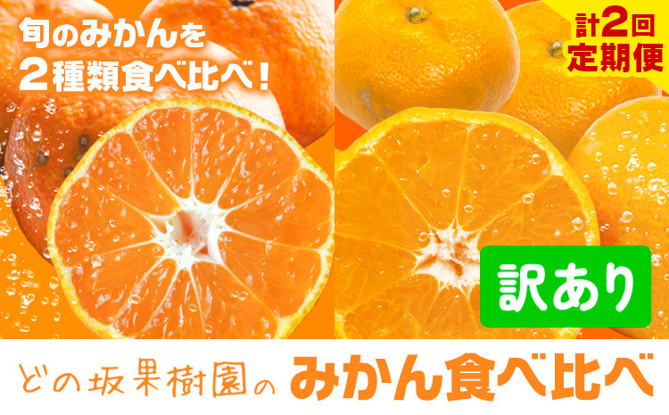 
                  どの坂果樹園の 訳ありみかん 食べ比べ定期便 全2回 合計10kg 訳ありゆら早生 訳あり早生みかん《10月中旬-1月末頃出荷》和歌山県 日高川町 みかん 定期便 早生 柑橘 フルーツ 果物 ミカン 柑橘 定期 産地直送 送料無料
                