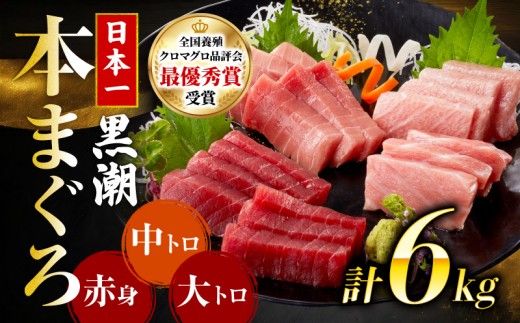本マグロ3種セット (大トロ・中トロ・赤身) 約6kg (高知道水)