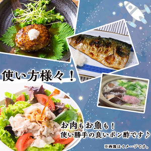 n305 だいだい実のなるぽんず(200ml×2本) 鹿児島 種子島 ドレッシング 調味料 ポン酢 ぽん酢 柑橘 橙 果実 常温 常温保存 【スカイショップ銀河】