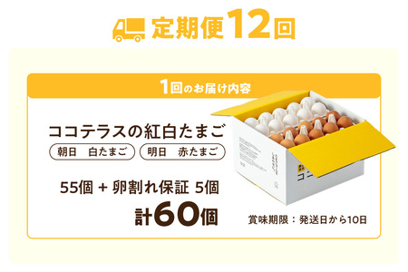 【12ヵ月定期便】ココテラスの紅白たまご　55個 + 5個保証（計60個）【JGAP認証】 農家直送 新鮮 卵 タマゴ 赤卵 白卵 玉子 鶏卵 朝食 夕食 夜食 朝ごはん たまご焼き だし巻き卵 オム