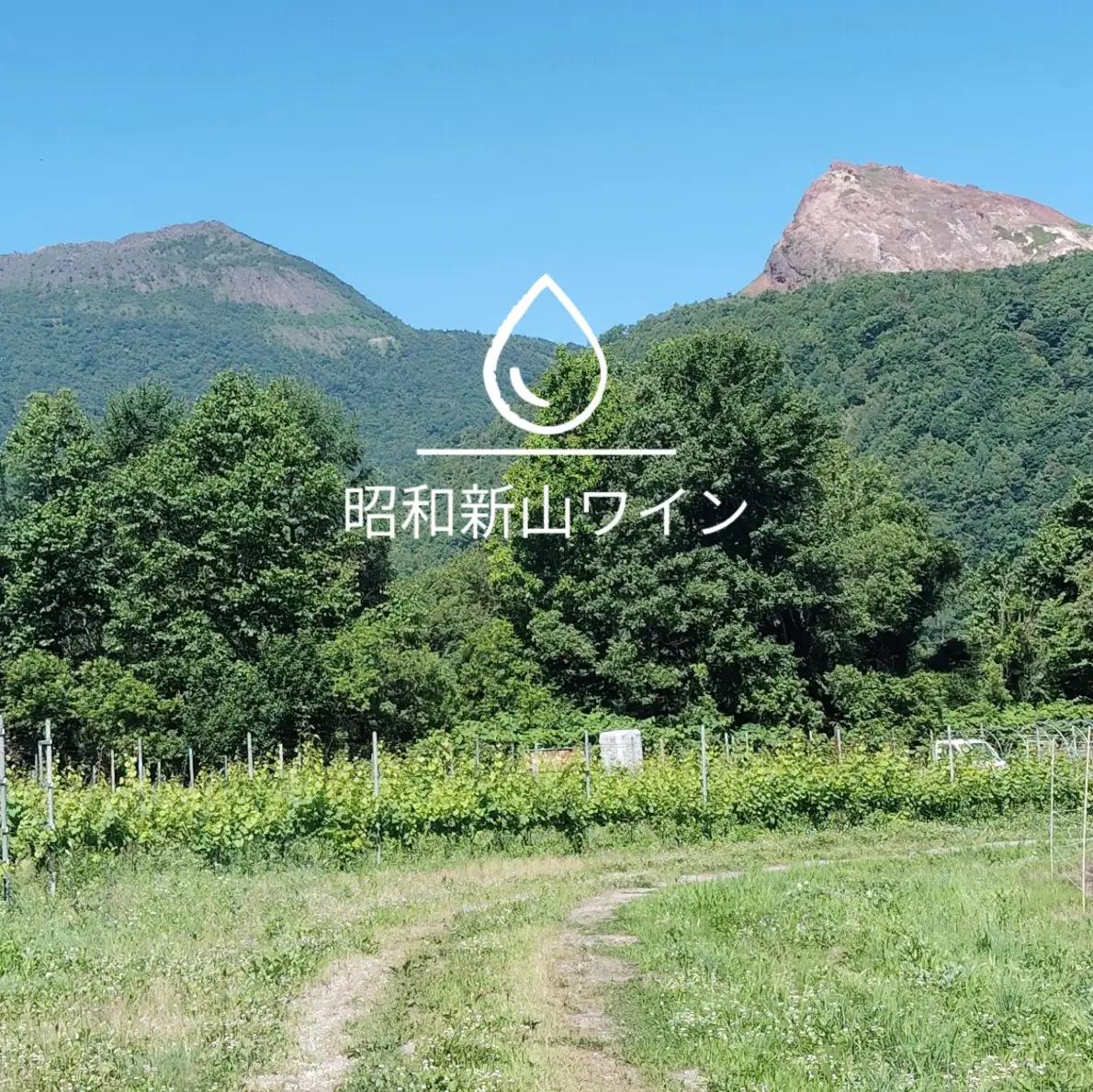 昭和新山ワイン YAMANOBE BLANC 2023(ヤマノベブラン）、Montagne 2024 無濾過(モンターニュ）白ワイン 辛口 750ml 各1本セット SBTQ014