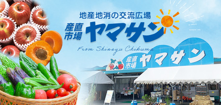 【2025年先行予約】りんご 訳あり サンふじ 約10kg | りんご 信州産 長野県 千曲市