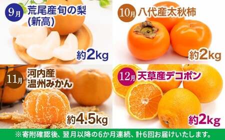 【 6か月 連続 定期便 】 熊本県 フルーツ 6ヶ月 定期便 果物 くだもの 旬 いちご 柑橘 スイカ メロン 柿 梨