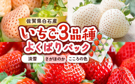 1パックに3色いちご（こころの色・さがほのか・淡雪）220g×1パック / 佐賀県 / 岸川農園 [41ASAG009]