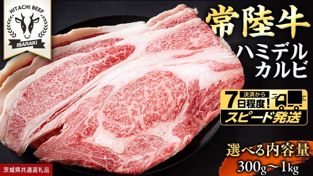 
                  ＼ 選べる 内容量 ＆ スピード発送 ／【 常陸牛 】A5 等級 ハミデルカルビ 300g 500g 1kg ひたちぎゅう ブランド牛 カルビ 国産牛 黒毛和牛 和牛 国産黒毛和牛 お肉 A5ランク 高級 BBQ パーティ (茨城県共通返礼品)
                