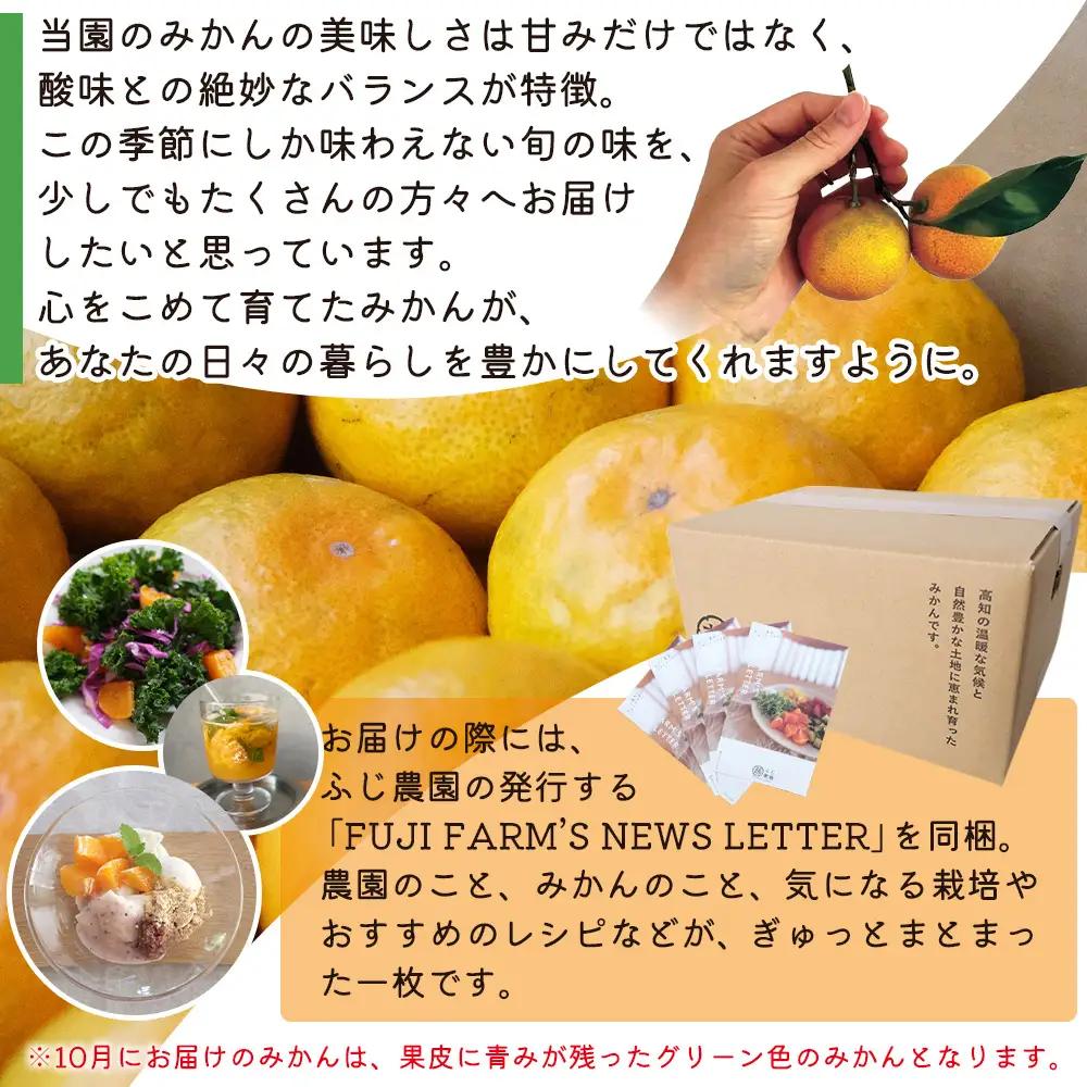 【特別栽培みかん】【2026年10月以降順次配送分】ふじ農園 贈答用 2.5kg 小玉 みかん fn-0009