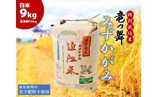 みずかがみ 白米 9kg 2025年産 竜の舞 化学肥料不使用 特別栽培米 玄米 時容量 10kg 国産 安心 安全 近江米 米 お米 白米 お弁当 玄米 産地直送 滋賀県 竜王町 送料無料