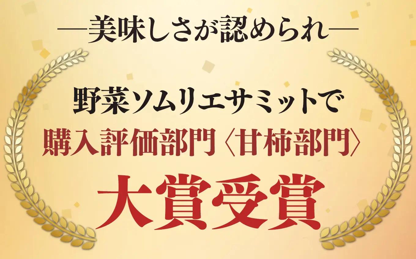  【 先行予約 】 富有柿 約5kg （17～20個） 選べる 内容量 日本野菜ソムリエ協会大賞受賞品 | 富有柿 かき フルーツ 柿 かき 果物 先行 予約 日本 野菜 ソムリエ 協会 大賞 受賞 