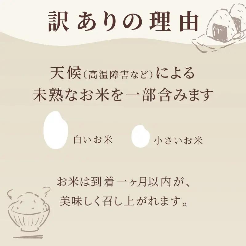 無洗米 訳あり がばいU米 令和7年産 佐賀県産 無洗米【10kg(5kg×2袋)】【定期便 3ヶ月】