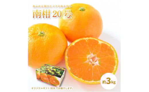 【先行予約】【 2025年12月中旬から発送予定 】 温州みかん 「 南柑20号 」＜ 秀品 ＞ 約3kg 【 ギフトBOX 入り 】