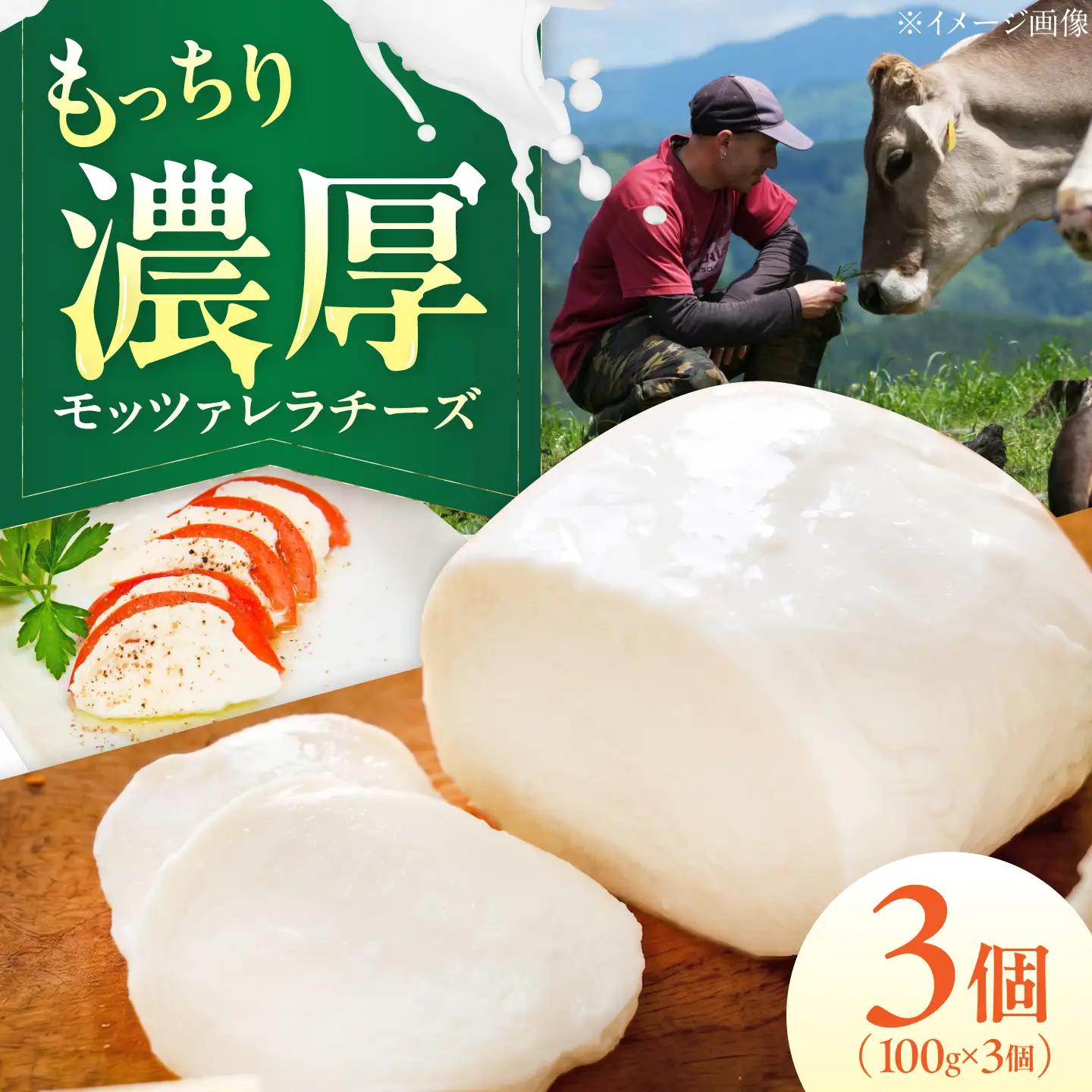 チーズ モッツァレラチーズ 3個セット BKAH007
