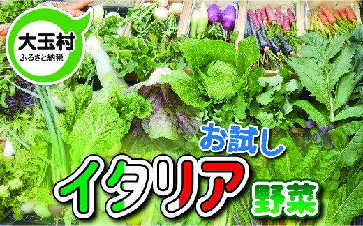 お試しイタリア野菜セット(4~5種類)【01080】