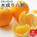 【ふるさと納税】【先行予約】木成り八朔 秀品 約10kg Lサイズ 和歌山県有田産【はっさく ハッサク 八朔 和歌山】