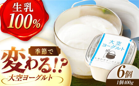 大空ヨーグルト 400g×6個【足寄町/あしょろ観光協会】ヨーグルト[BEAE005]