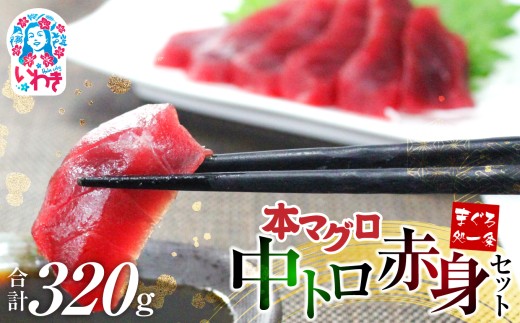 【単品】本マグロ 中トロ 赤身 セット 320g|鮪 本鮪 本まぐろ マグロ トロ とろ 刺し身 さしみ さかな 海鮮 寿司 解凍レシピ付 1サクずつ真空包装