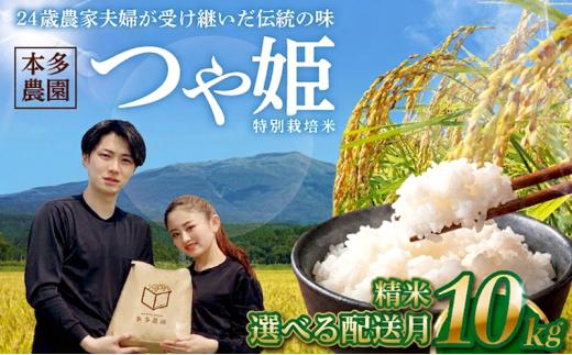 10月下旬配送／特別栽培米 つや姫 10kg 精米 令和8年産 白米 ブランド米 ごはん ご飯 農家直送  東北 山形県 酒田市 庄内 本多農園 HO　SB0973
